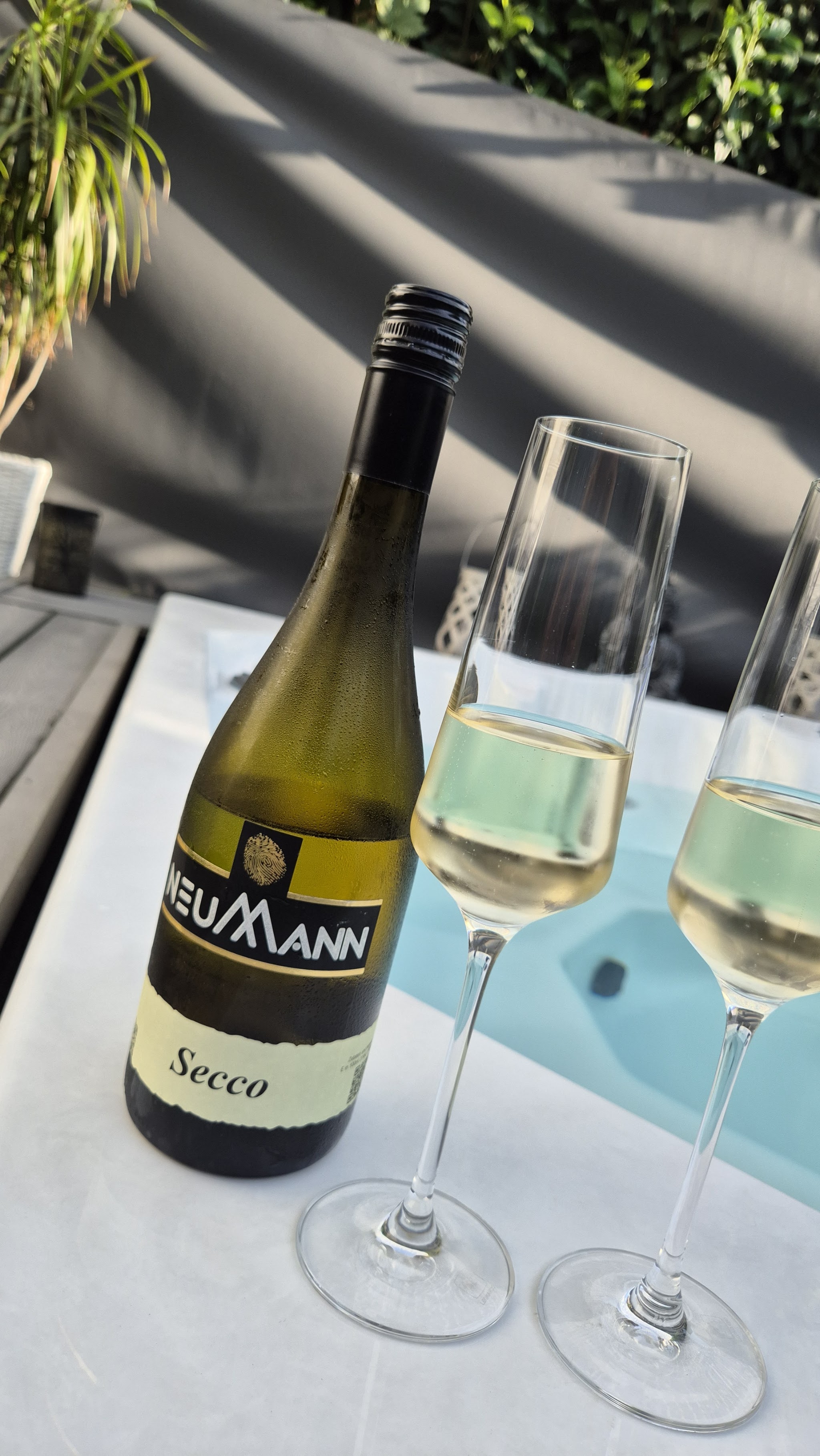 Flasche Neumann Secco mit zwei gefüllten Sektgläsern im Sonnenlicht