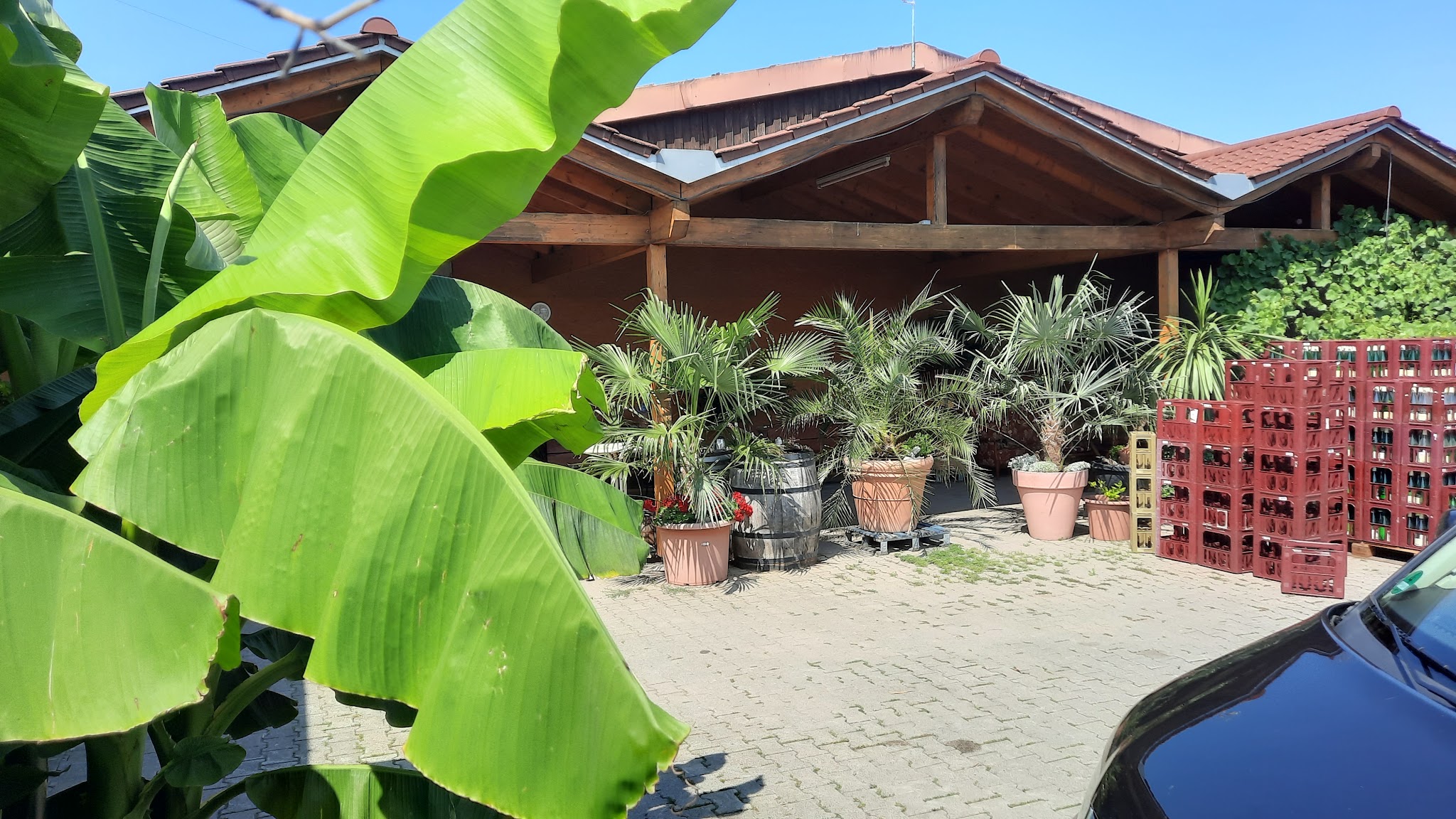 Hof des Weinguts mit Holzpavillon, Palmen in Kübeln und einer Bananenstaude